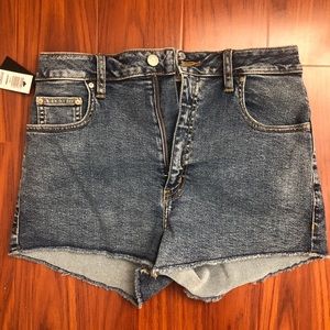 Aritzia Okinawa high waisted shorts